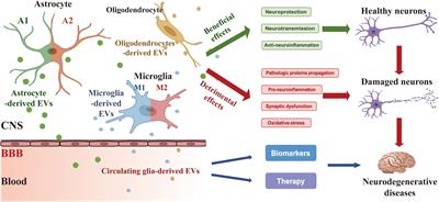 Role of Glia-Derived Extracellular Vesicles in Neurodegenerative Diseases